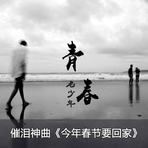 青春老少年 - 今年春节要回家 （升5半音）