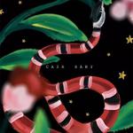 CA$H BABY(2018特别版）专辑