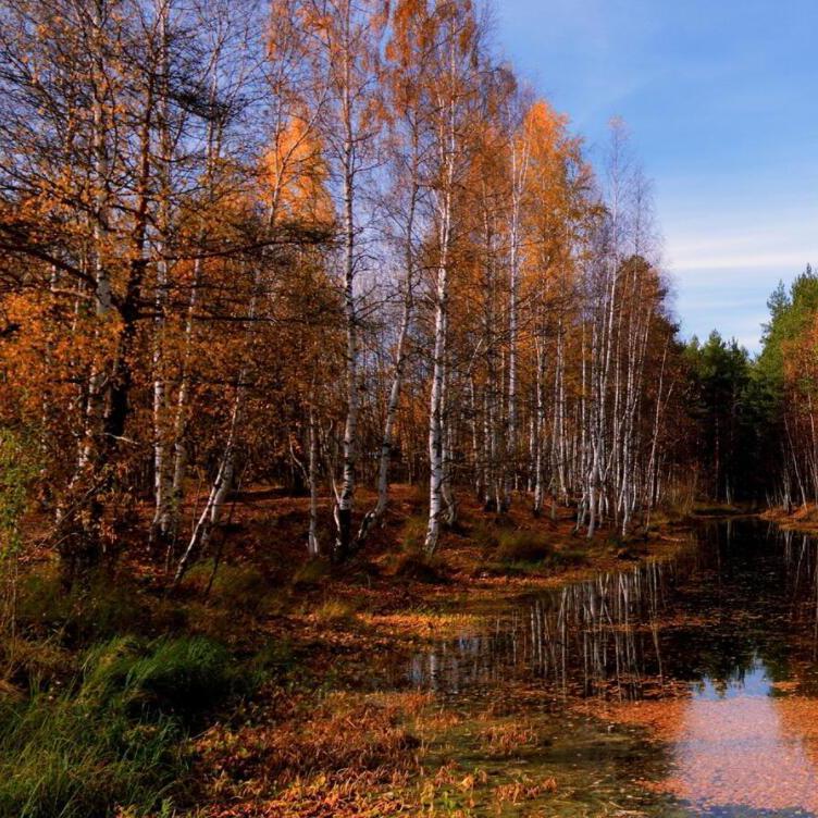 不要对她说爱我 (19)