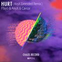 Hurt（AiryX Extended Mix）专辑