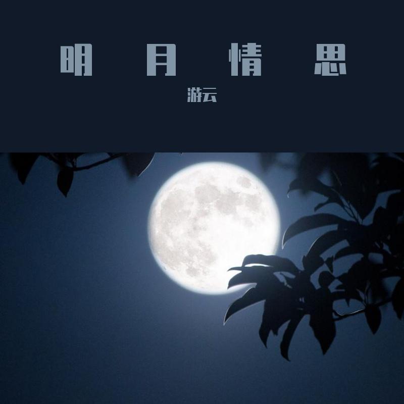 伊犁河的月夜