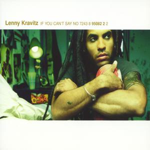If You Can't Say No - Lenny Kravitz (Karaoke Version) 带和声伴奏