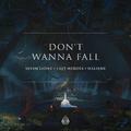 Don't Wanna Fall