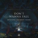 Don't Wanna Fall专辑