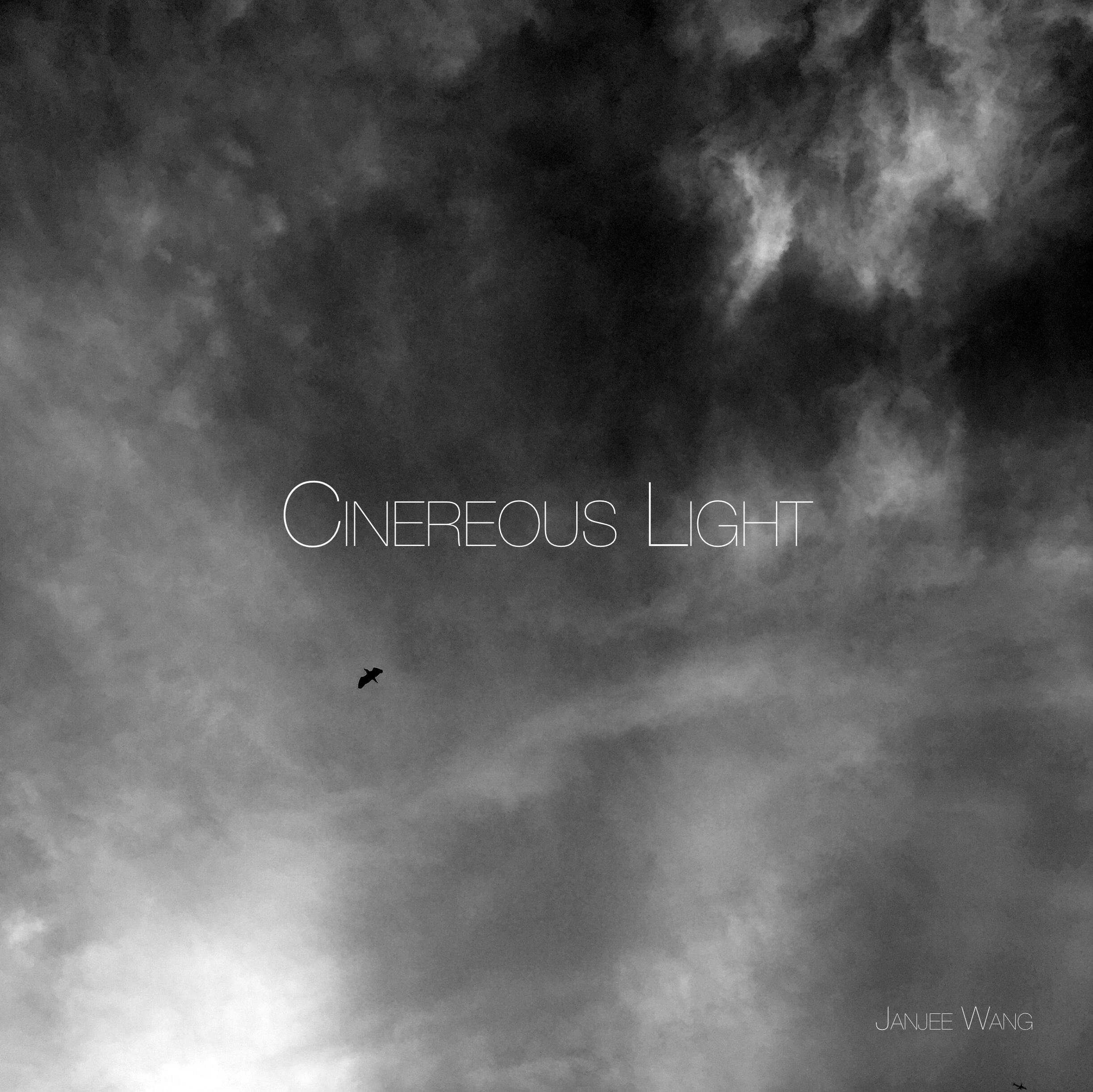 CINEREOUS LIGHT (instruments demo)专辑