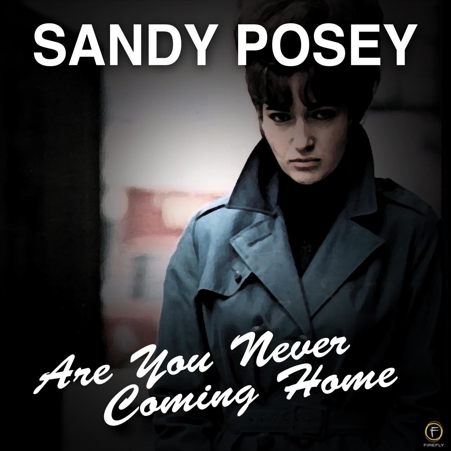 Are You Never Coming Home