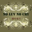 NO LUV NO CRY 