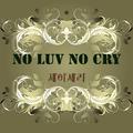 NO LUV NO CRY 