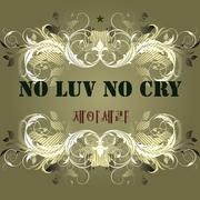 NO LUV NO CRY 