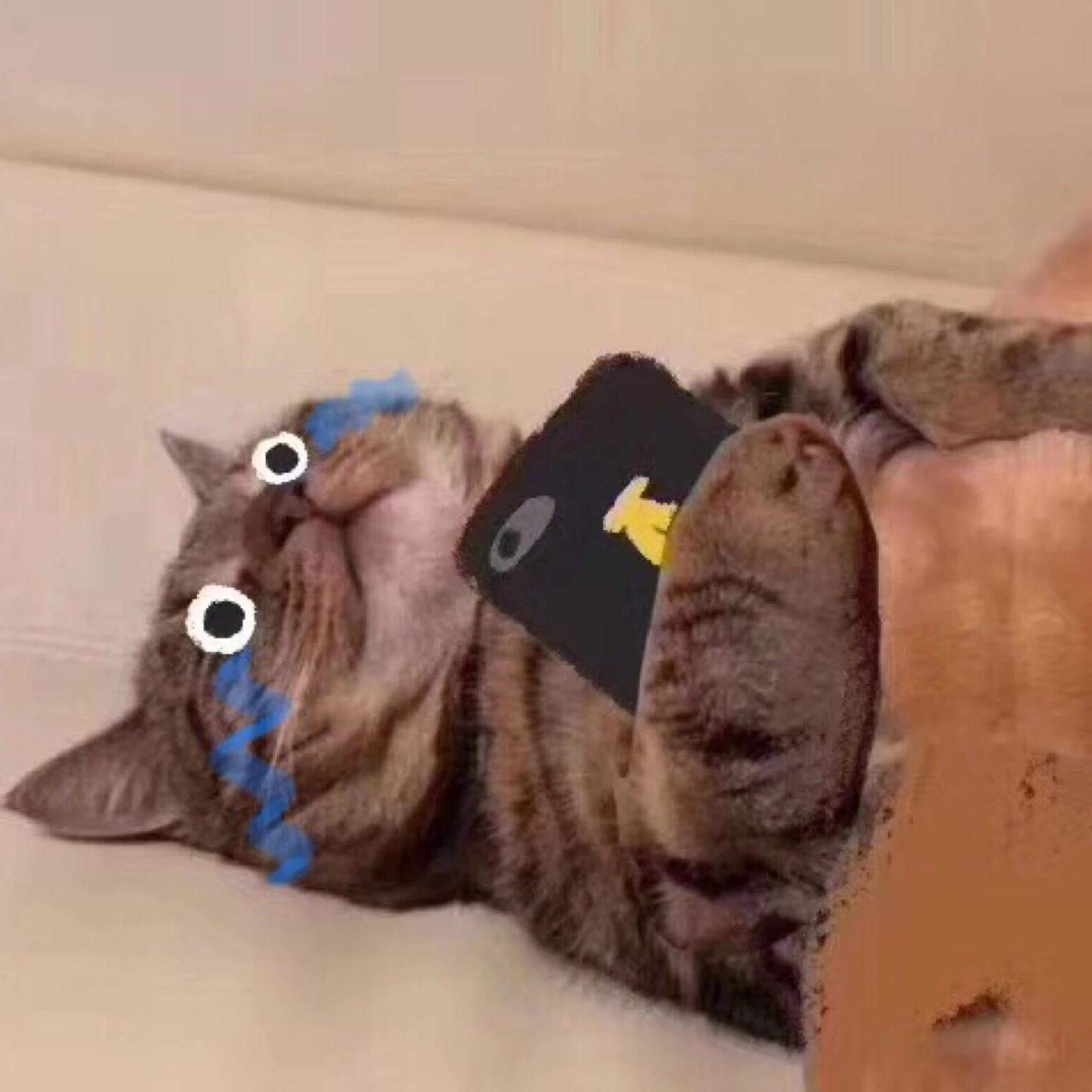 告白(治愈男版)