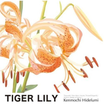 Tiger Lily专辑