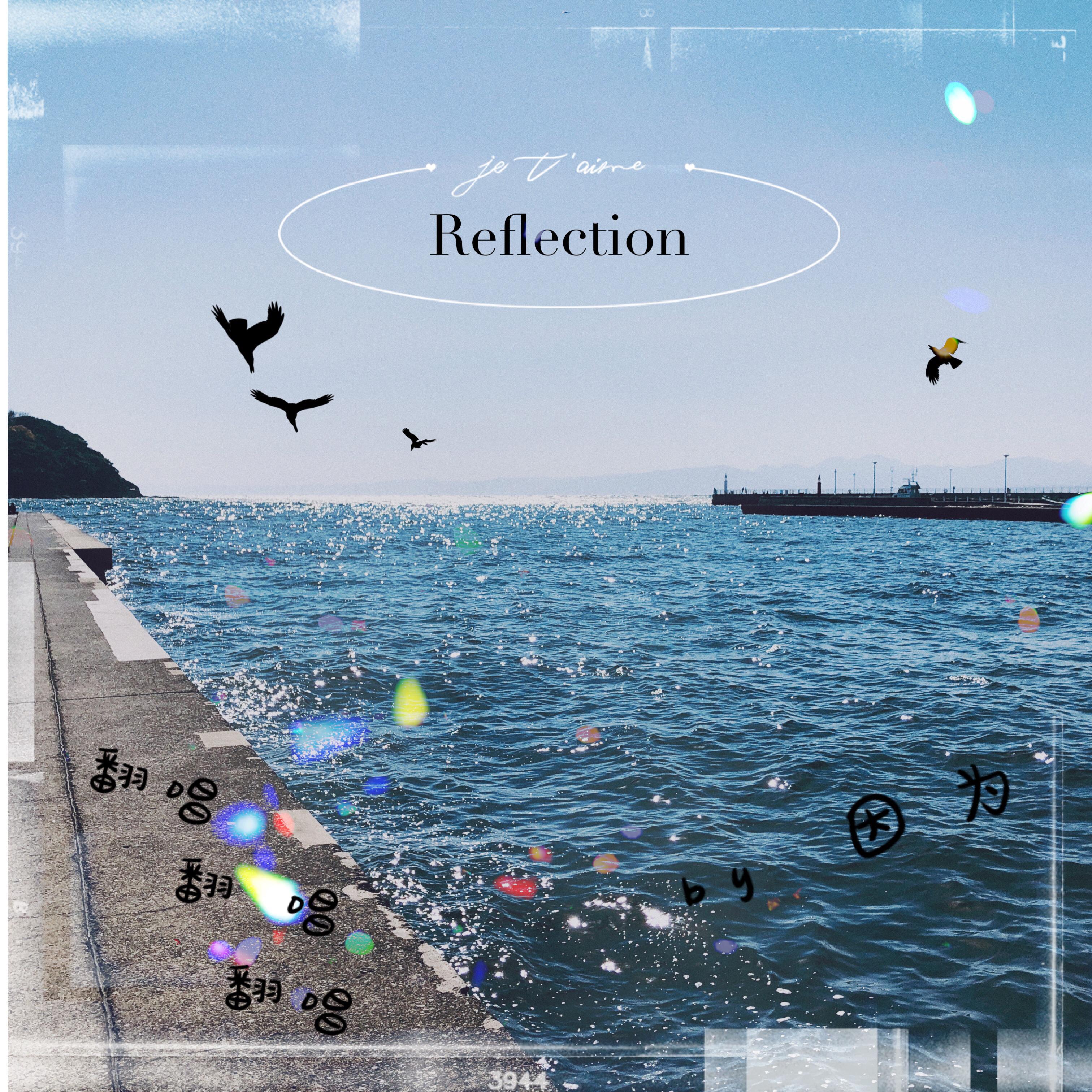 reflection专辑