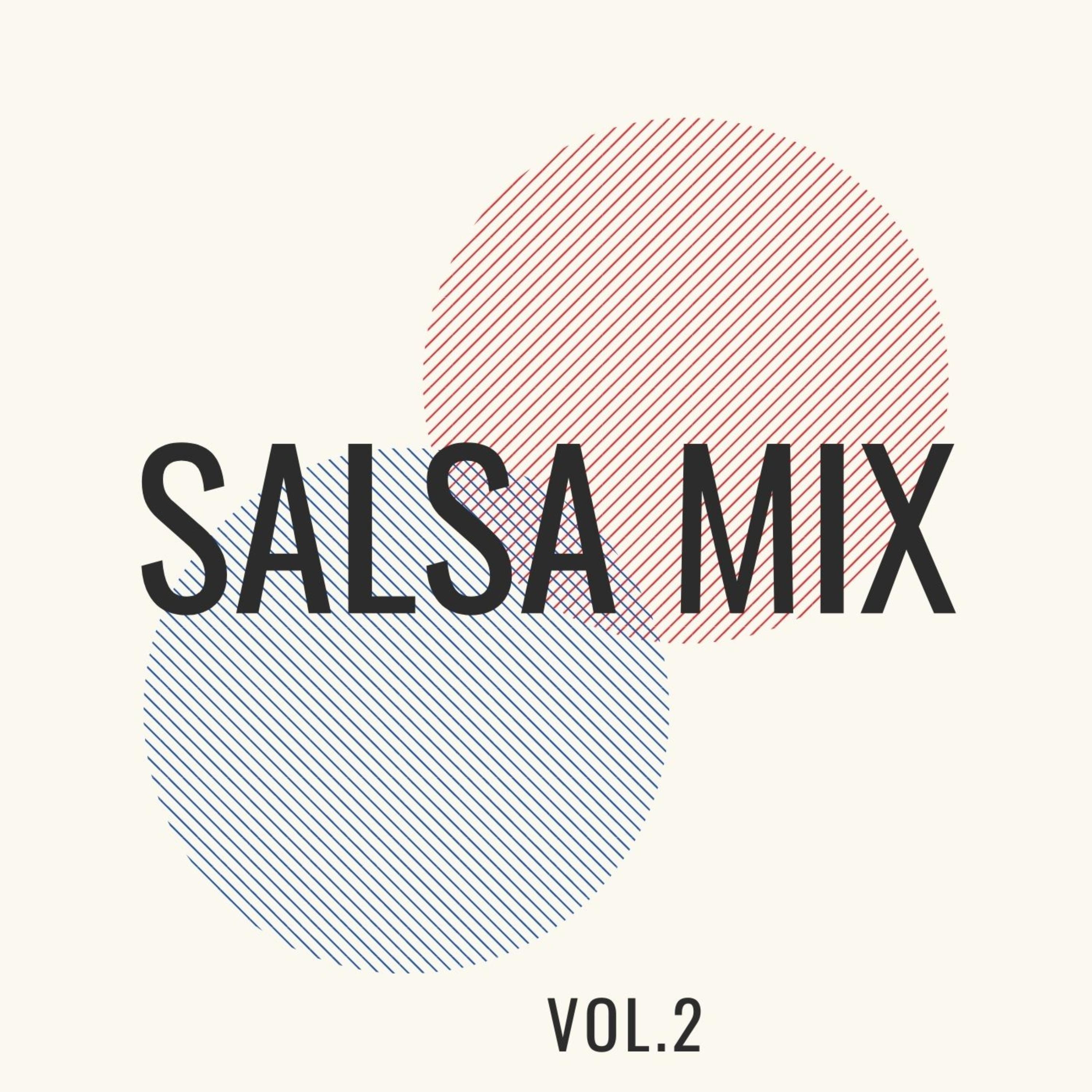 Salsa Mix, Vol. 2