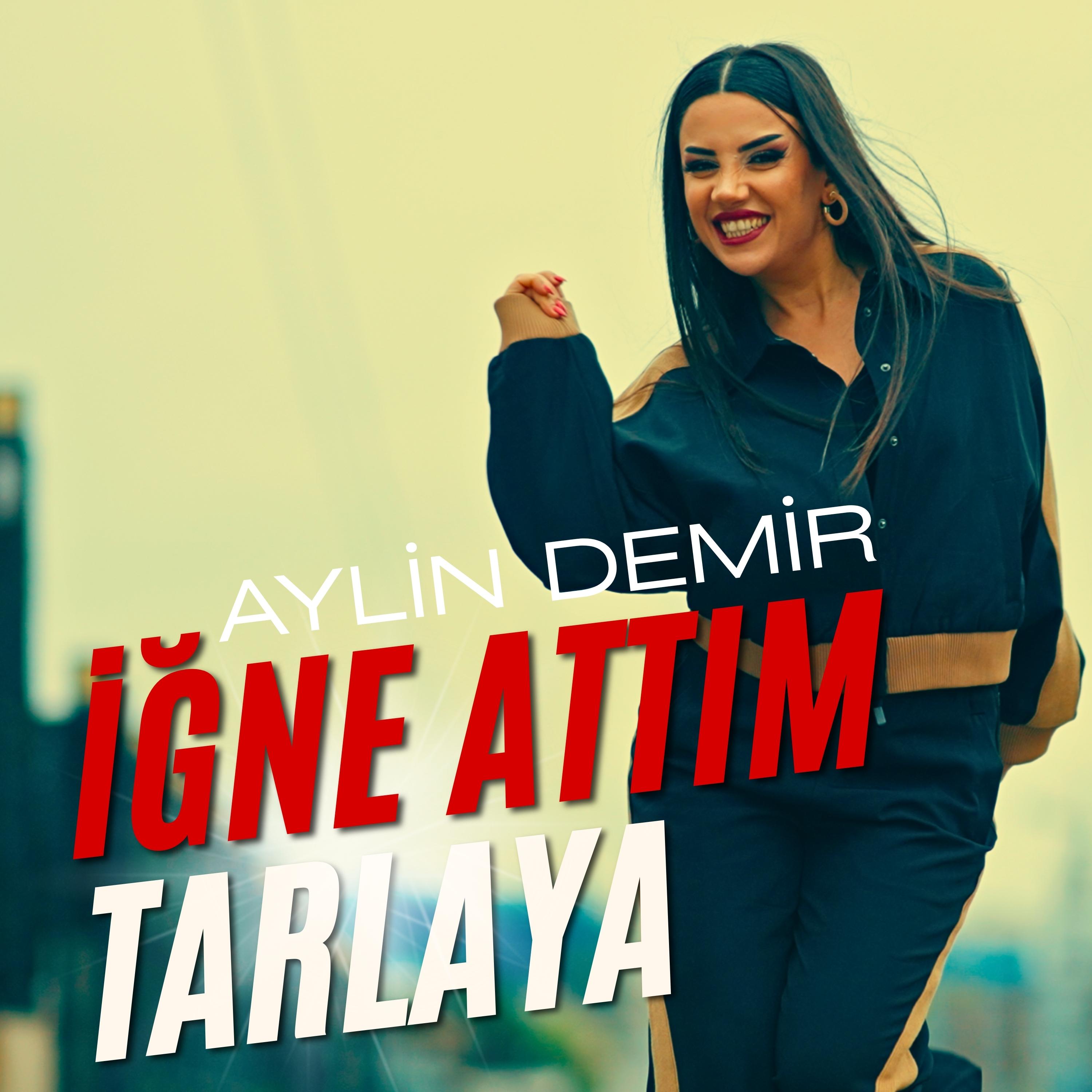 İğne Attım Tarlaya