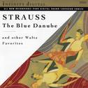 The Blue Danube and Other Waltz Favorites专辑