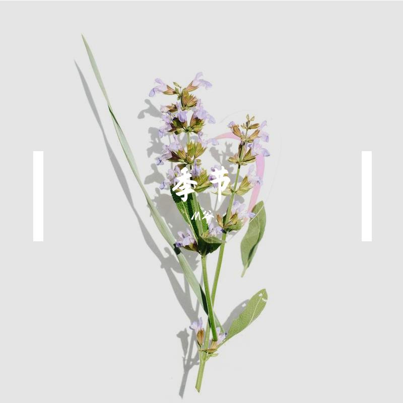 季节