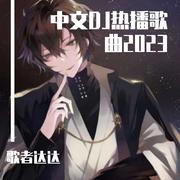 中文DJ热播歌曲2023