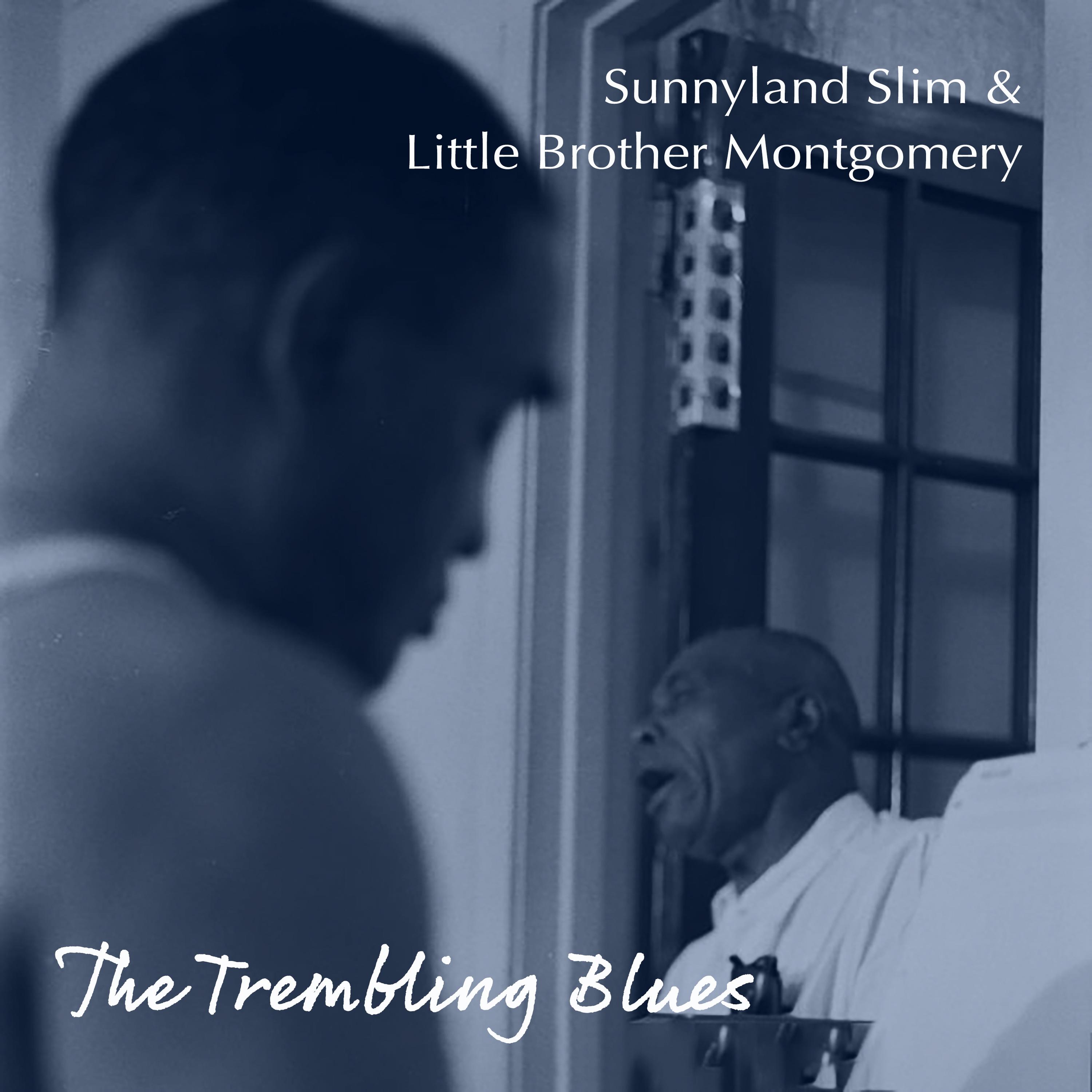 Trembling Blues in Chicago