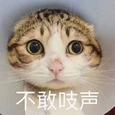 春笺