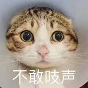 春笺