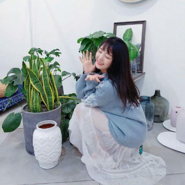 走马