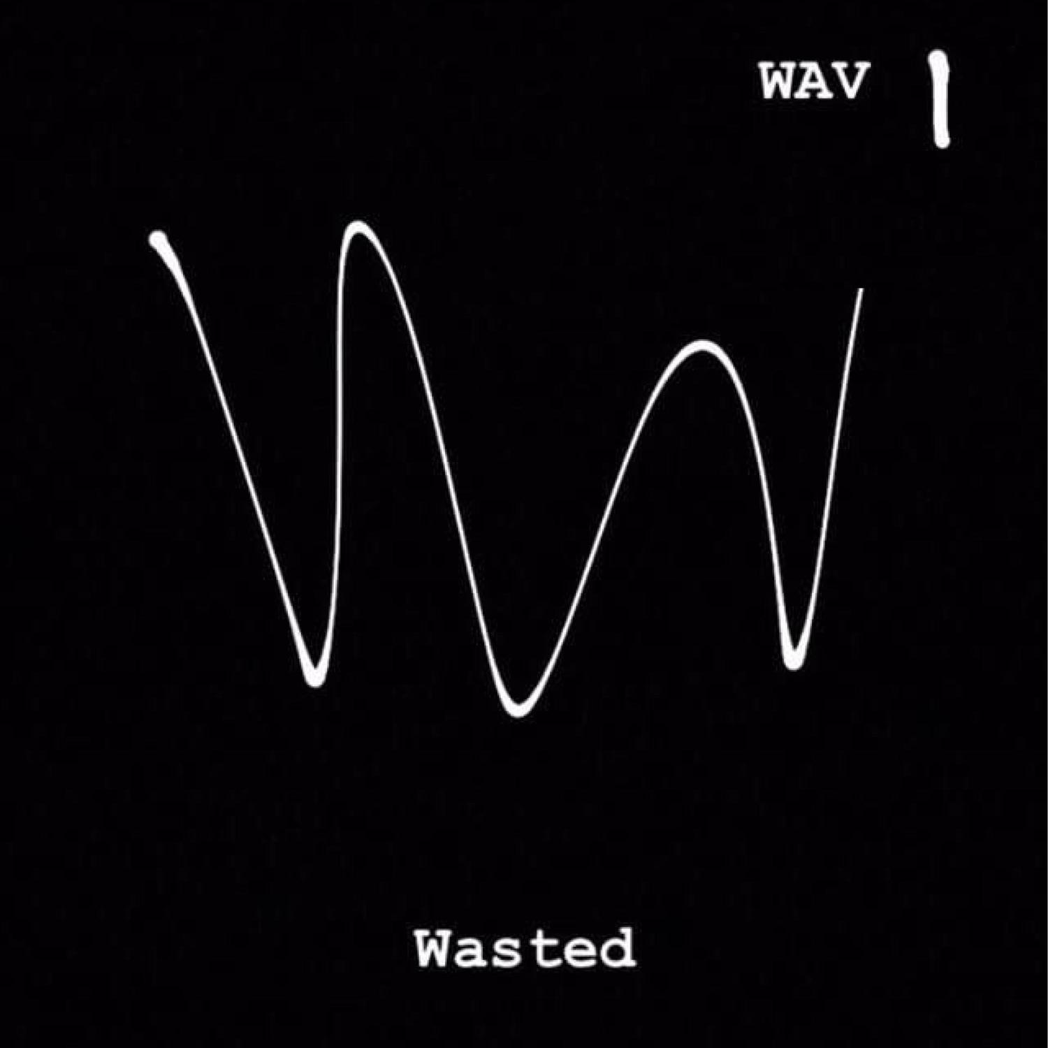 Wav - Wasted