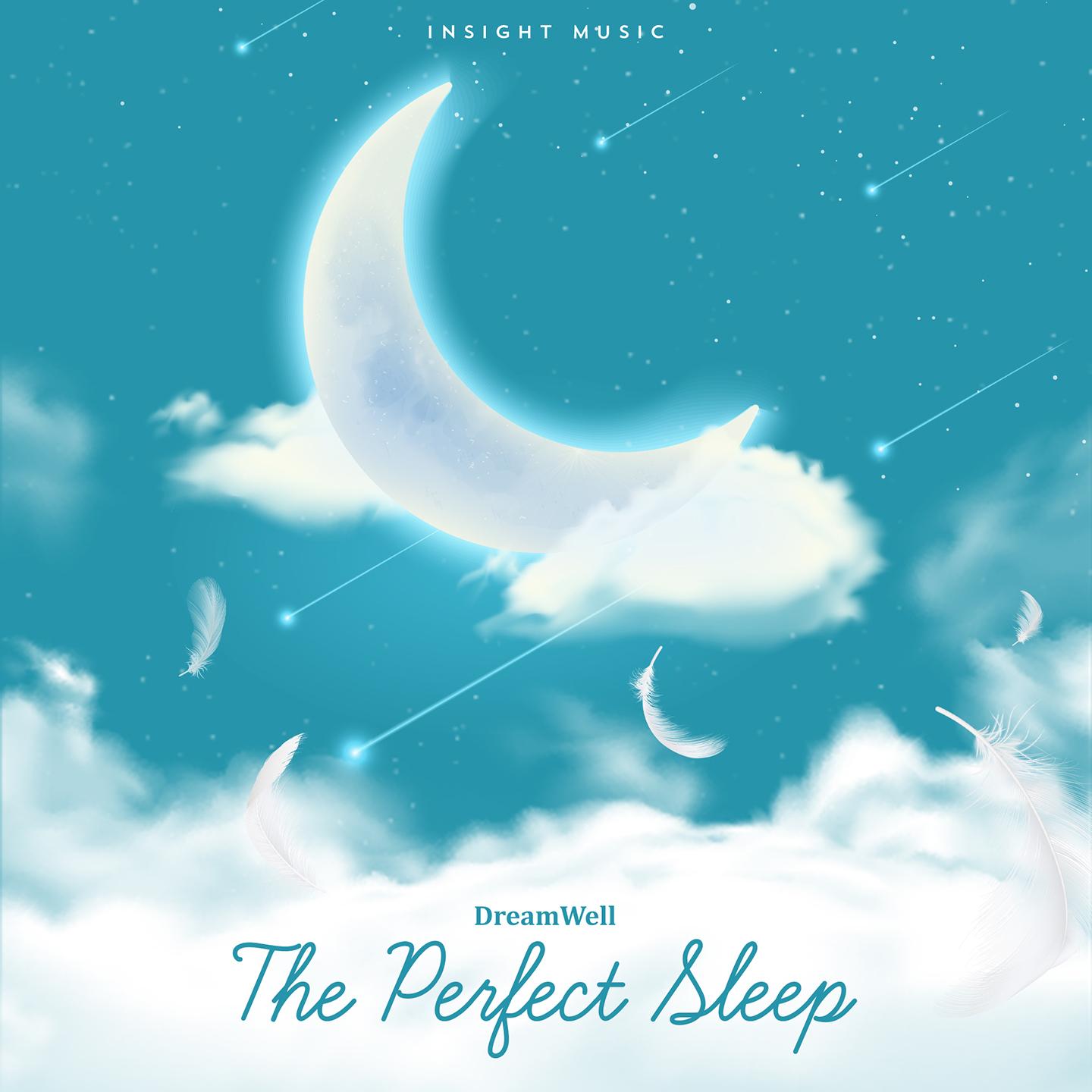 The Perfect Sleep (Inspired by DreamWell)