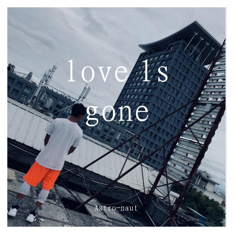 love ls gone