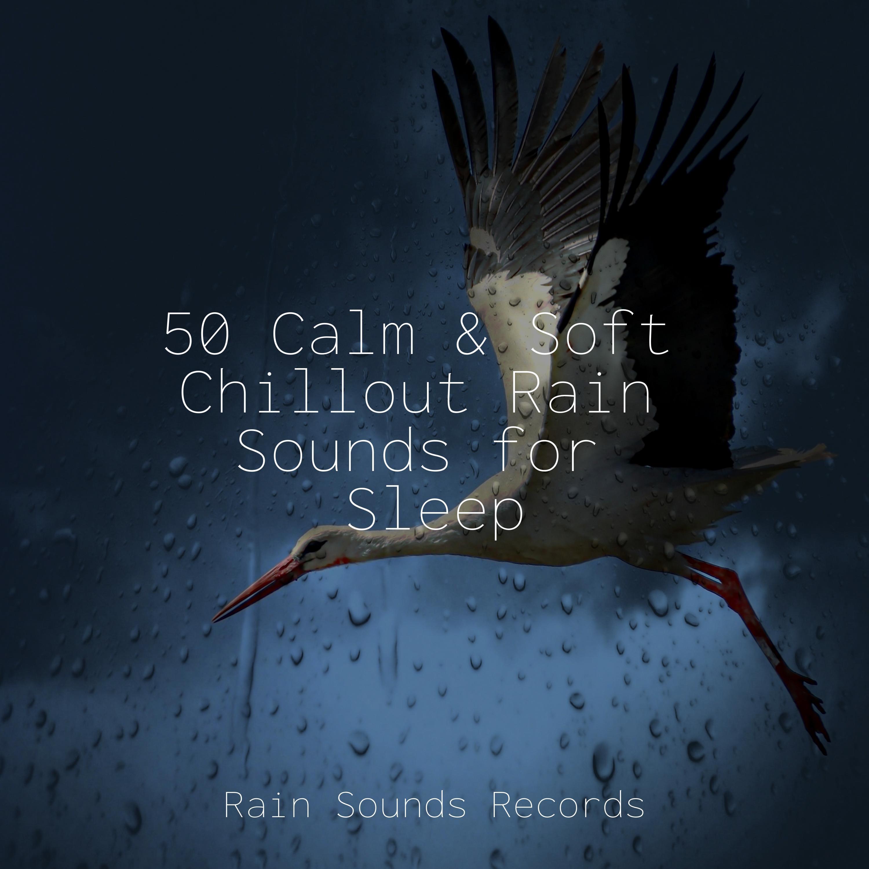 50 Calm & Soft Chillout Rain Sounds for Sleep