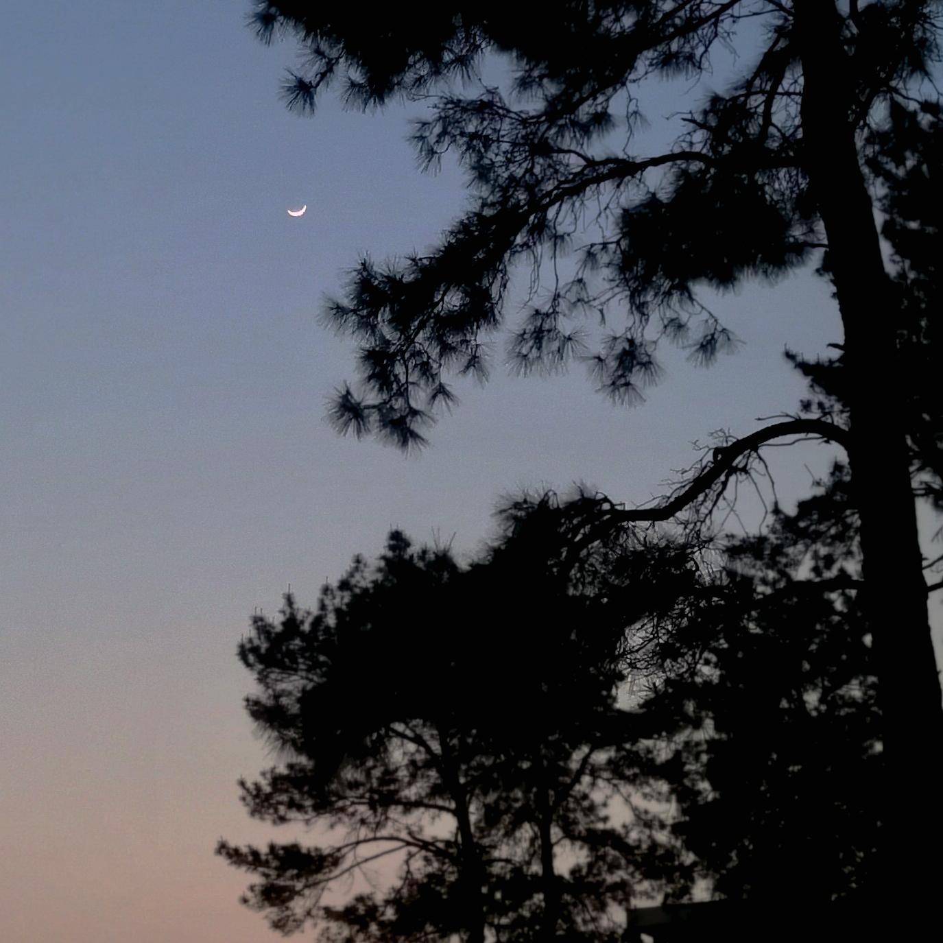 我所有形而下的归程