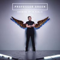 Professor Green - Photographs (S Karaoke) 带和声伴奏