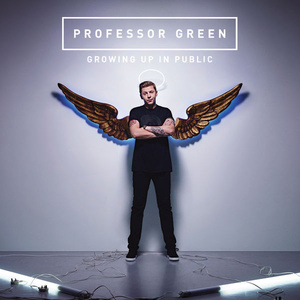 In The Shadow Of The Sun【Professor Green 伴奏】