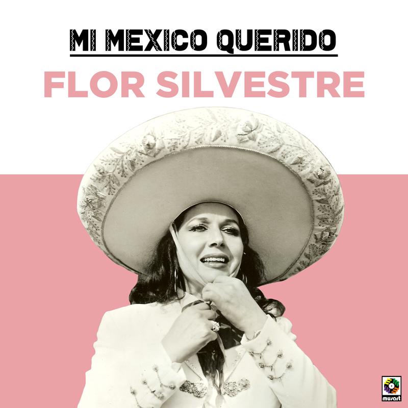 Mi Mexico Querido