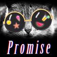 Promise