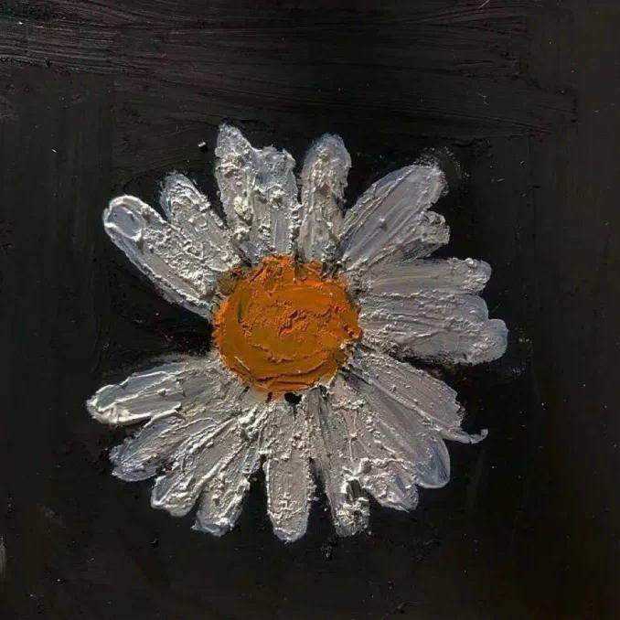 张一歌曲封面