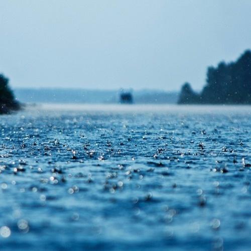Summer Rain