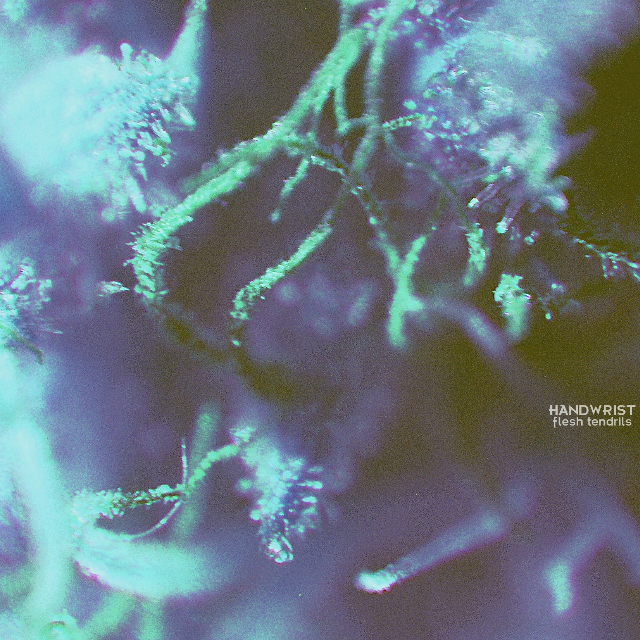 Flesh Tendrils