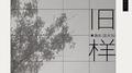 旧样专辑