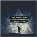 Alone (WildVibes Remix)专辑