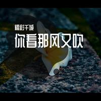 晓月-你像彩云又像风