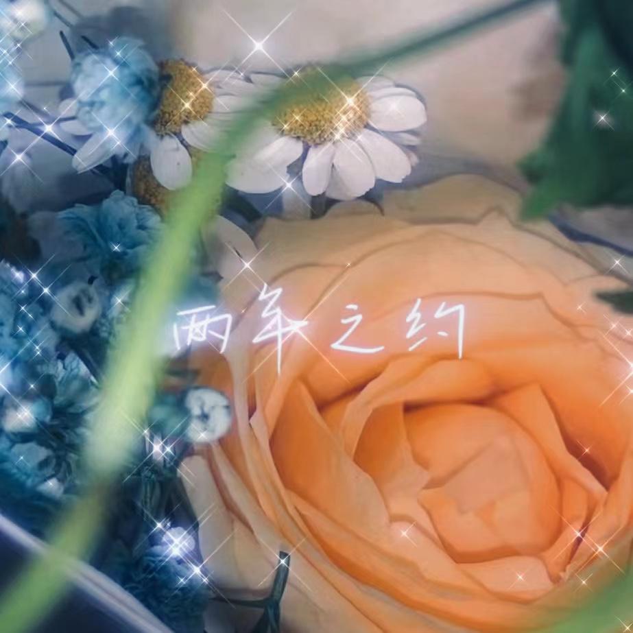 剧终