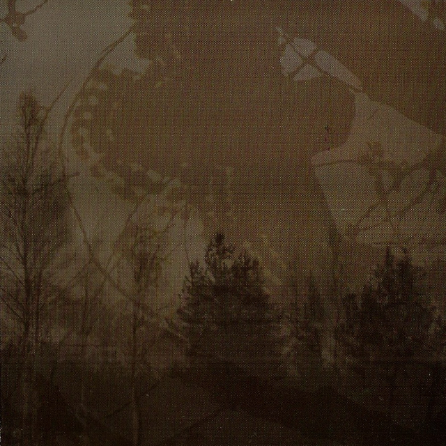 Inmitten Des Waldes / Mortualia