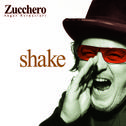 Shake (NEW International Spanish Version)专辑