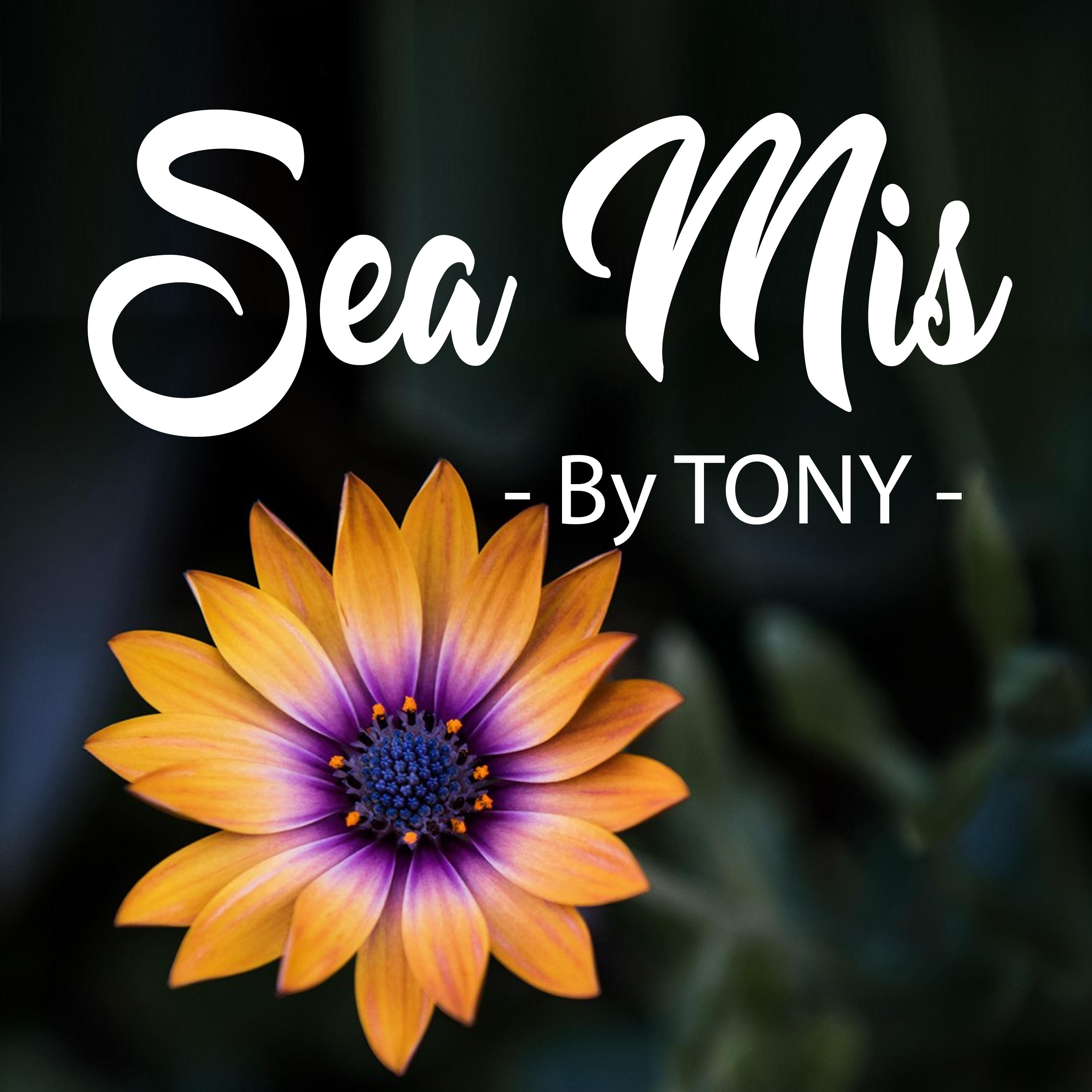 Tony - Sea Mis