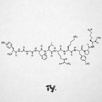 张越 - 不得不想你