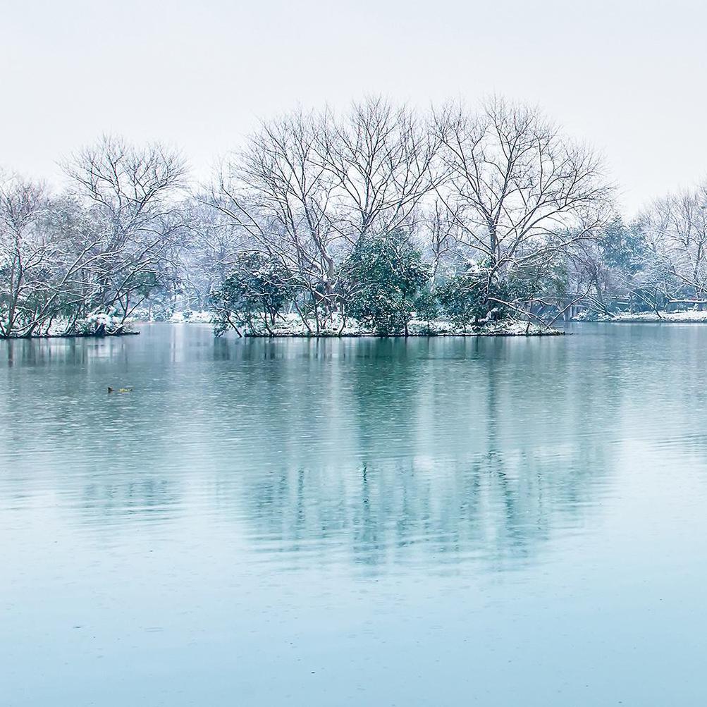 莺时 - 雪霁攸宁