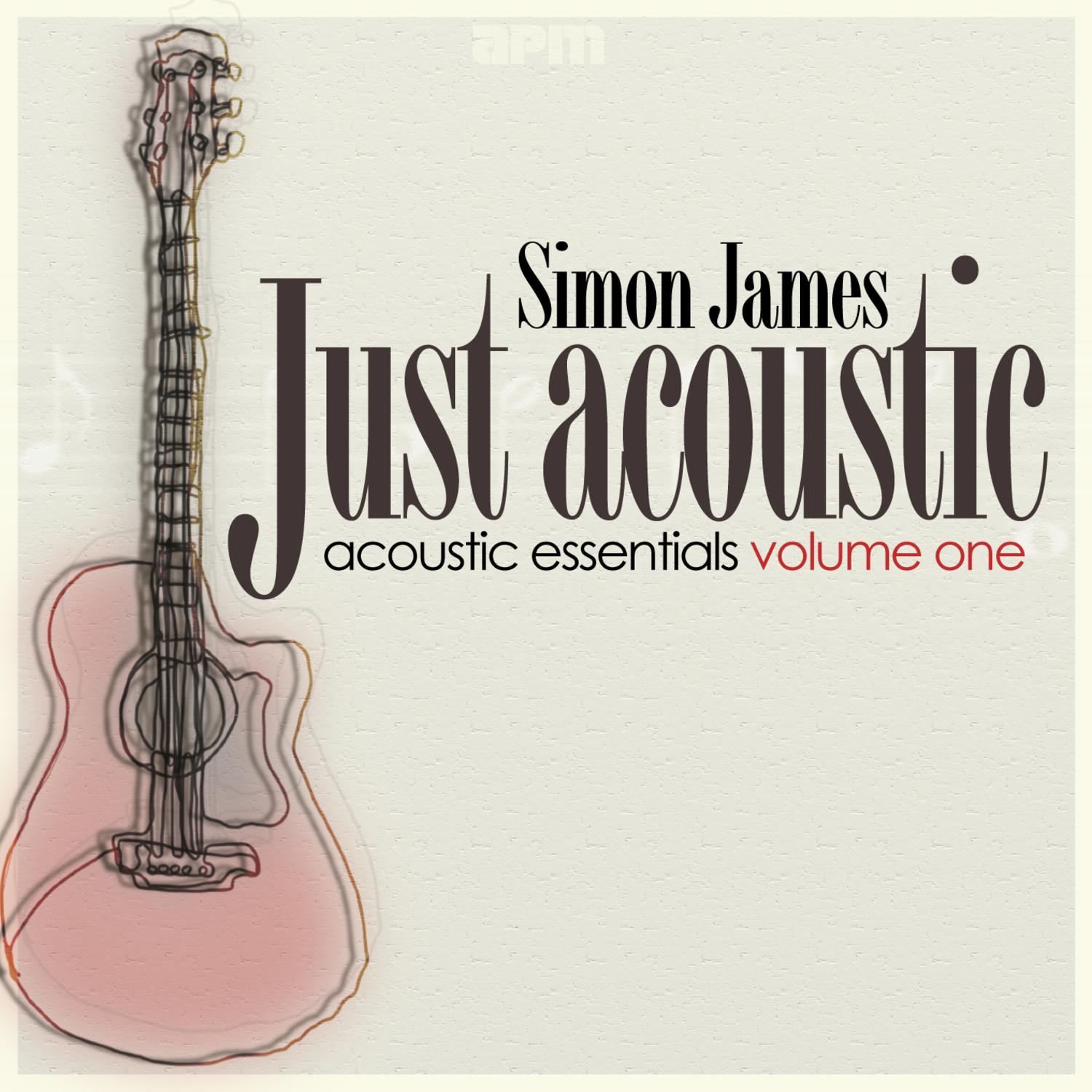 Just Acoustic - Acoustic Essentials Vol 1