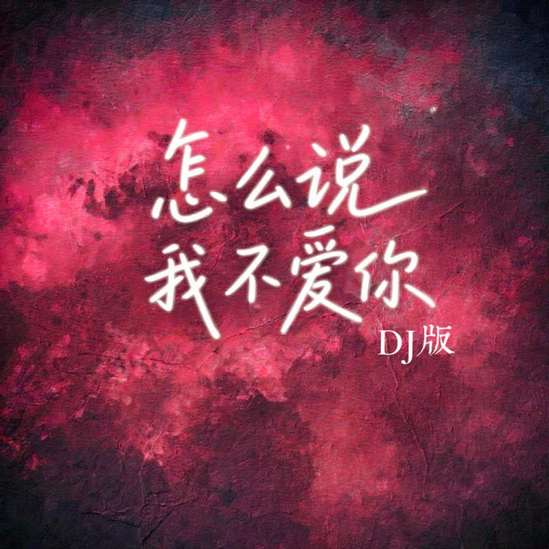 怎么说我不爱你 (DJ热播版)