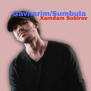 Sumbula/Gavharim (Remix)