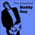 The Essential Buddy Guy